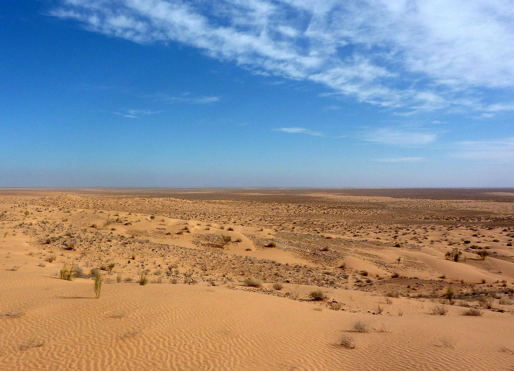 失地职工的土地补偿费去哪了？——国有农场征收中的补偿黑洞